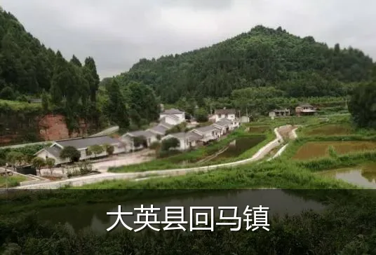 大英县回马镇
