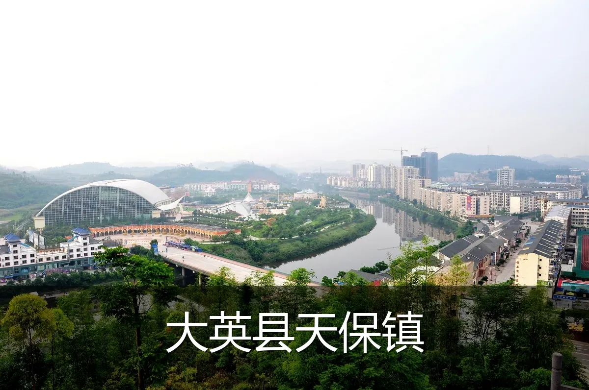 大英县天保镇