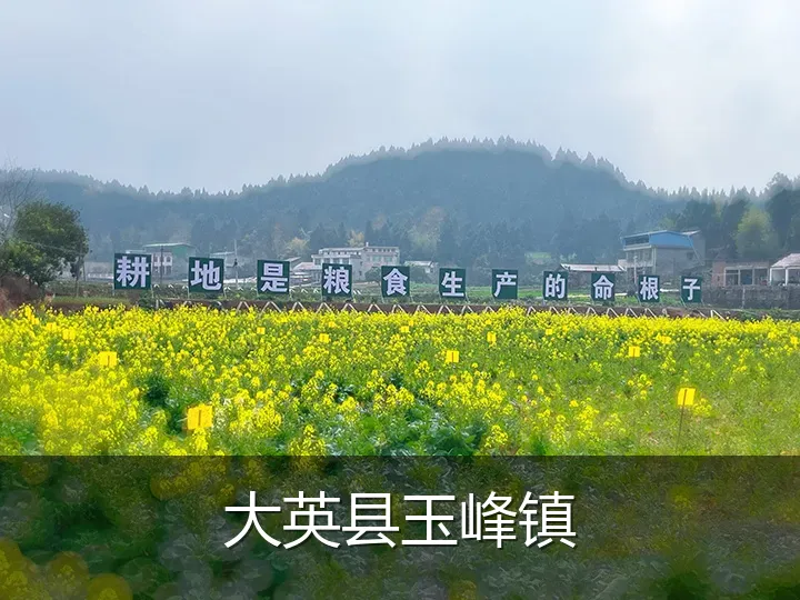 大英县玉峰镇